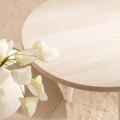 Discount Klast Home Siena